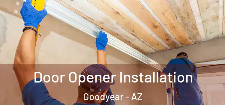  Door Opener Installation Goodyear - AZ