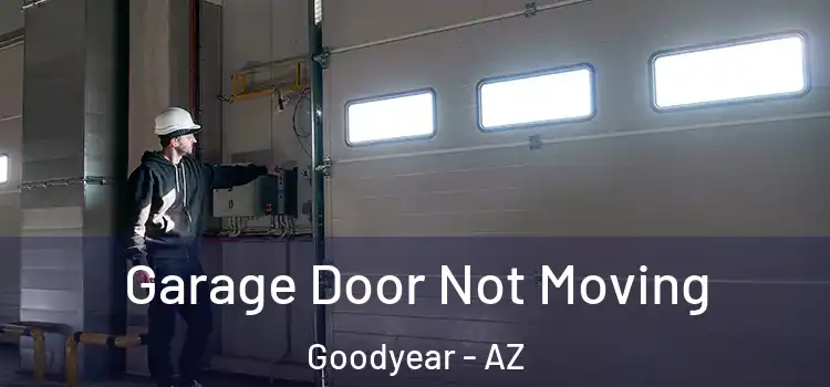  Garage Door Not Moving Goodyear - AZ