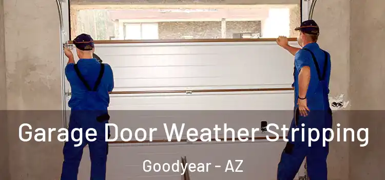  Garage Door Weather Stripping Goodyear - AZ