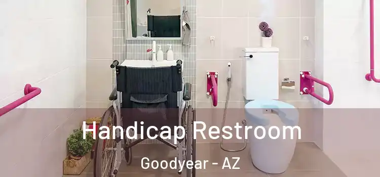 Handicap Restroom Goodyear - AZ