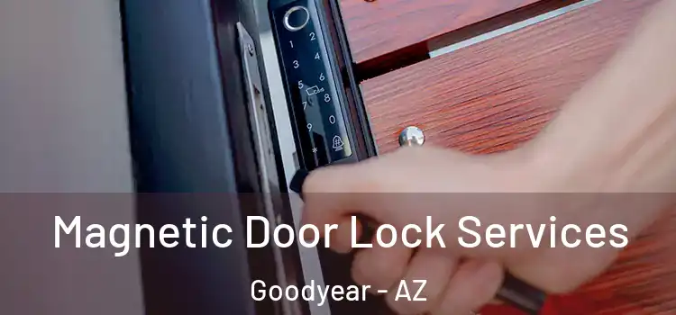 Magnetic Door Lock Services Goodyear - AZ