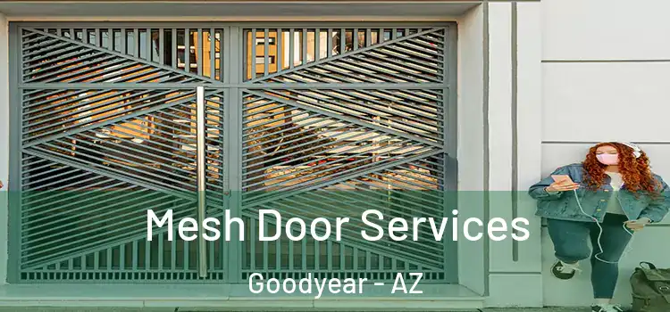 Mesh Door Services Goodyear - AZ